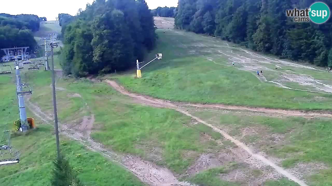 Web Camera Pohorje Trikotna Jasa | Poštela
