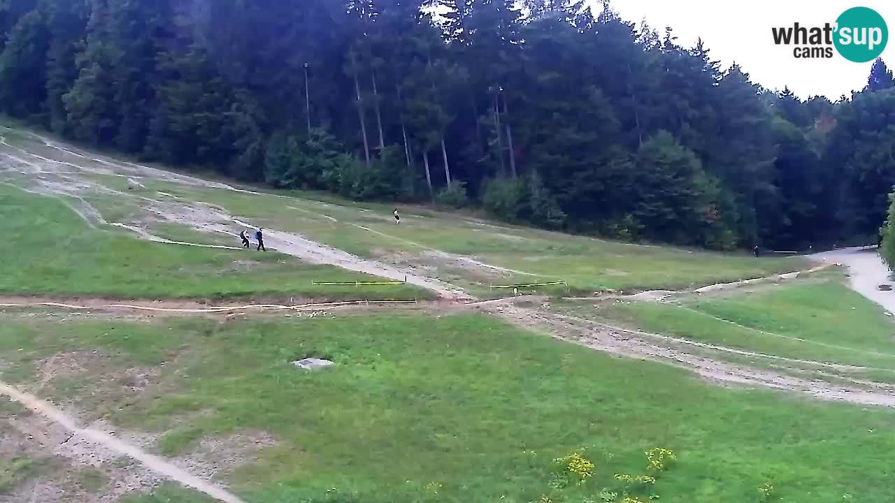 Webcam Pohorje Trikotna Jasa | Poštela