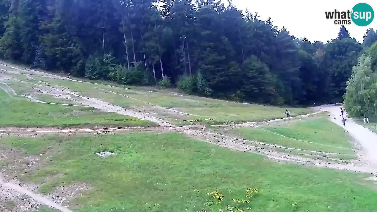 Webcam Pohorje Trikotna Jasa | Poštela