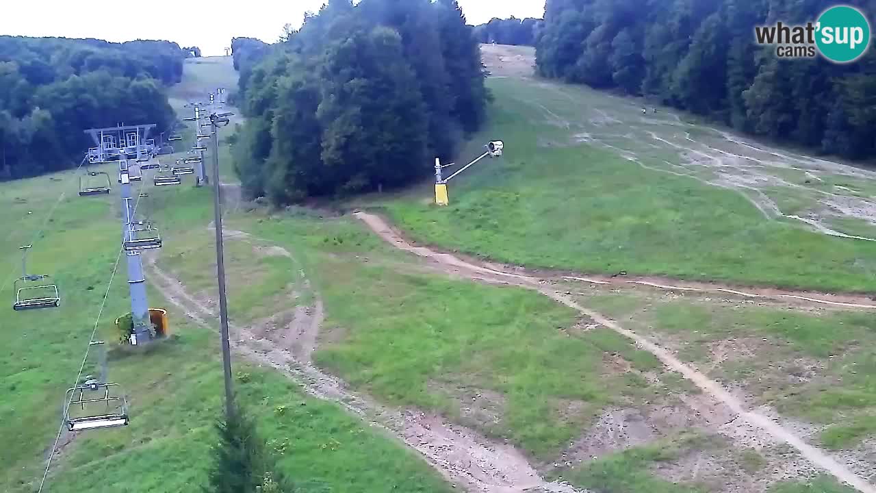 Webcam Pohorje Trikotna Jasa | Poštela