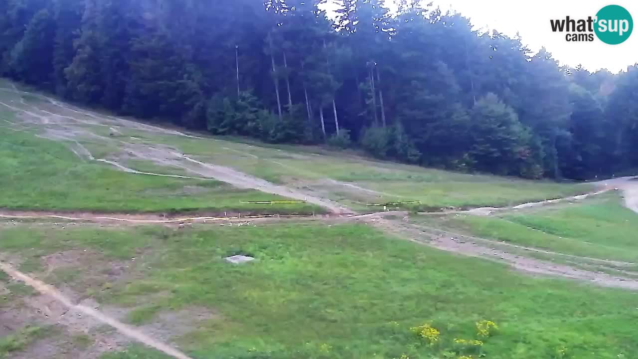 Spletna Kamera Pohorje Trikotna Jasa | Poštela