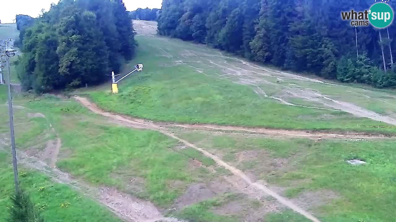 Spletna Kamera Pohorje Trikotna Jasa | Poštela