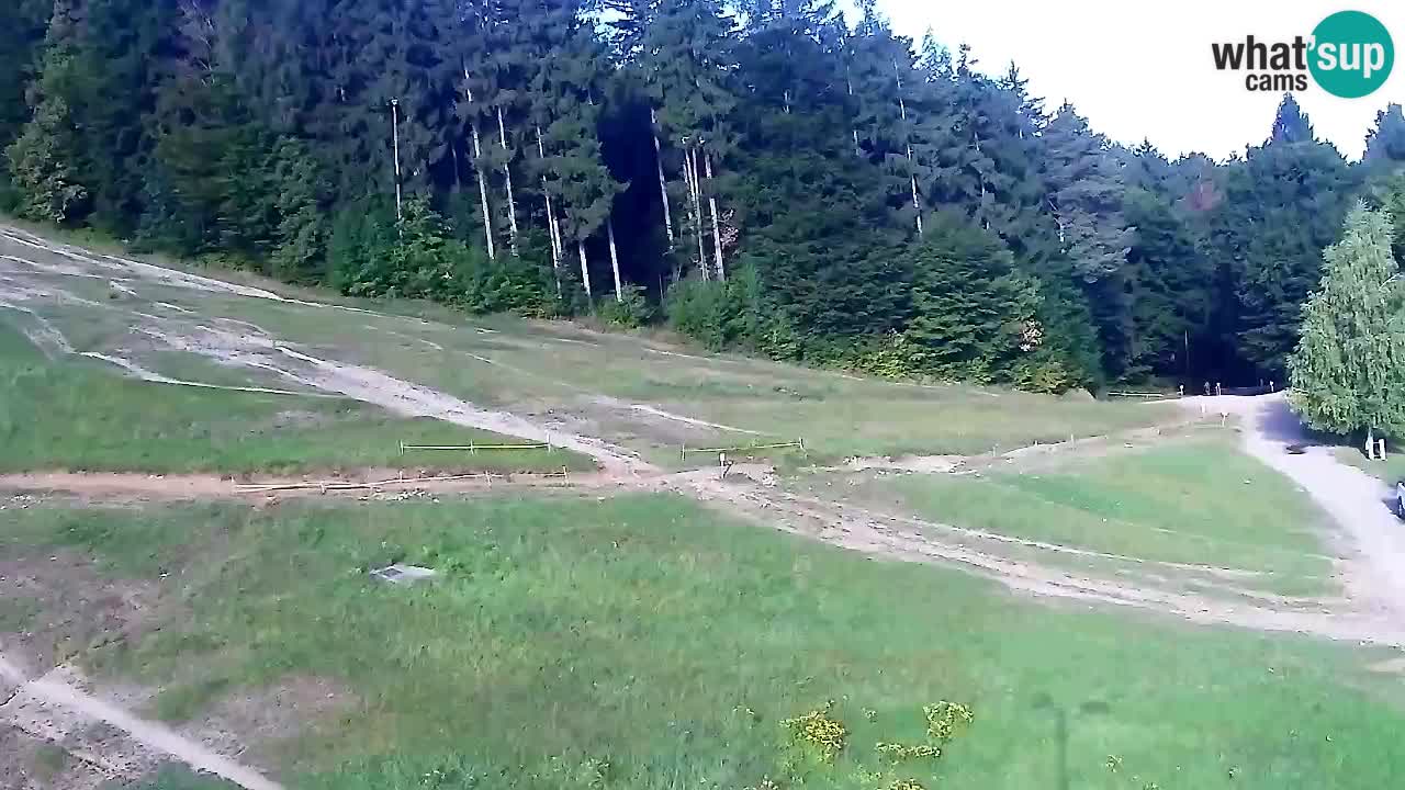 Webcam Pohorje Trikotna Jasa | Poštela