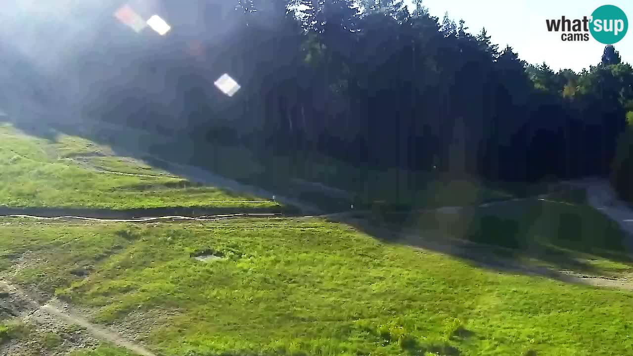 Webcam Pohorje Trikotna Jasa | Poštela