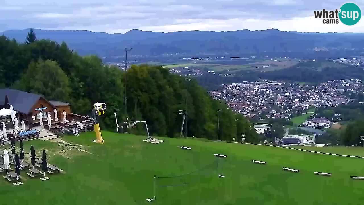 Web kamera Pohorje Trikotna Jasa | Poštela