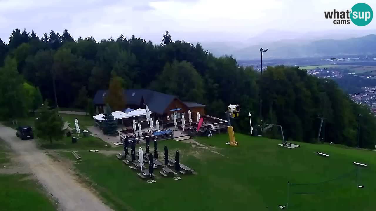 Webcam Pohorje Trikotna Jasa | Poštela