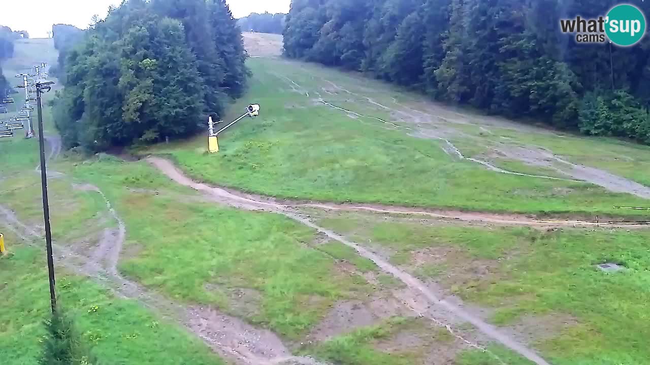 Web Camera Pohorje Trikotna Jasa | Poštela