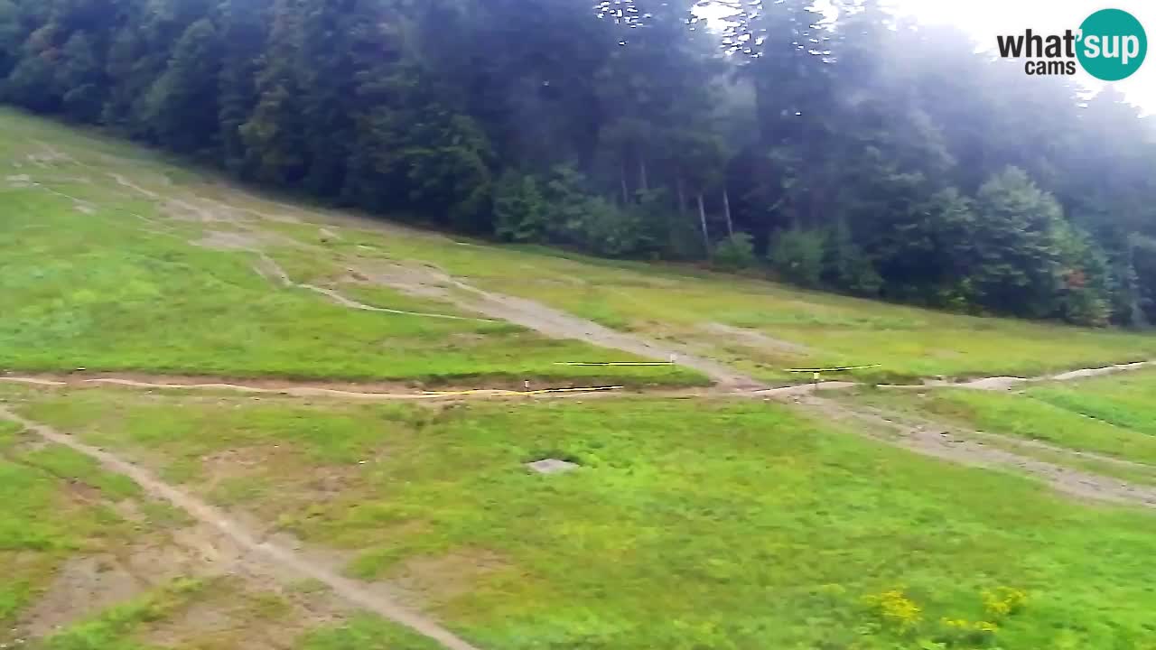 Webcam Pohorje Trikotna Jasa | Poštela