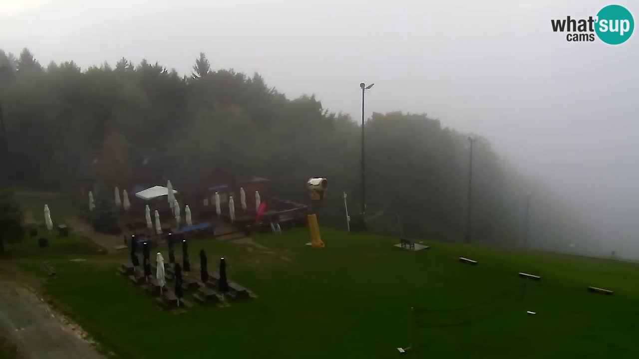 Webcam Pohorje Trikotna Jasa | Poštela