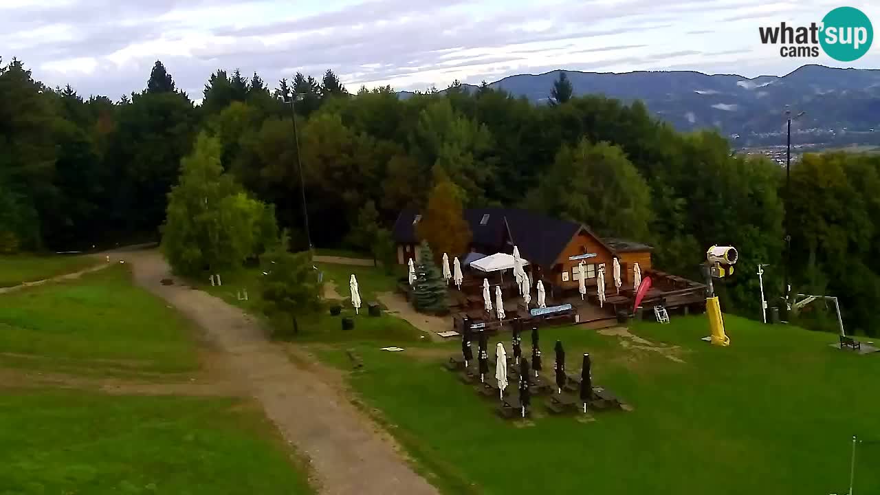 Webcam Pohorje Trikotna Jasa | Poštela