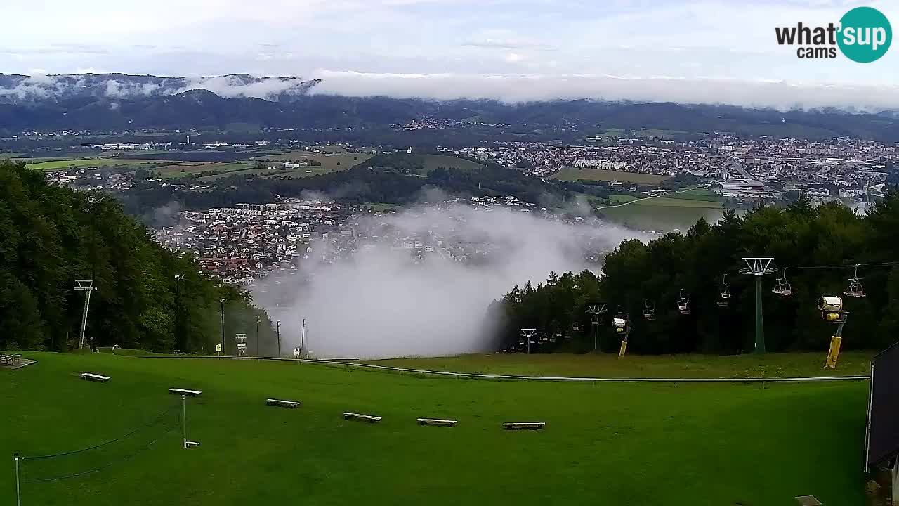 Web Camera Pohorje Trikotna Jasa | Poštela