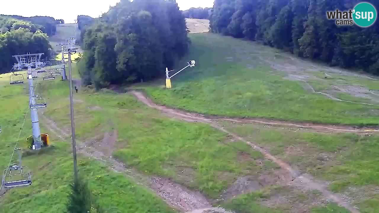 Webcam Pohorje Trikotna Jasa | Poštela