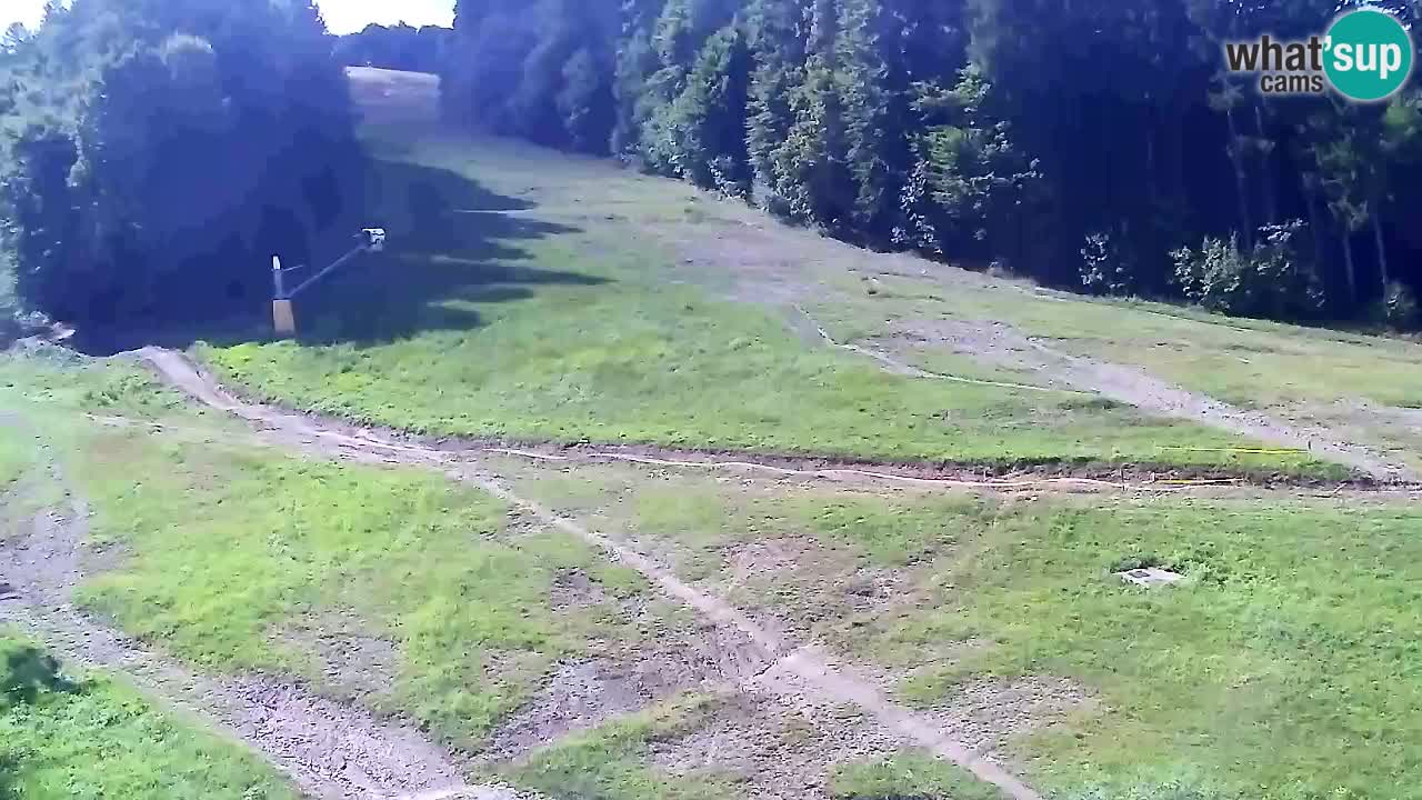 Webcam Pohorje Trikotna Jasa | Poštela