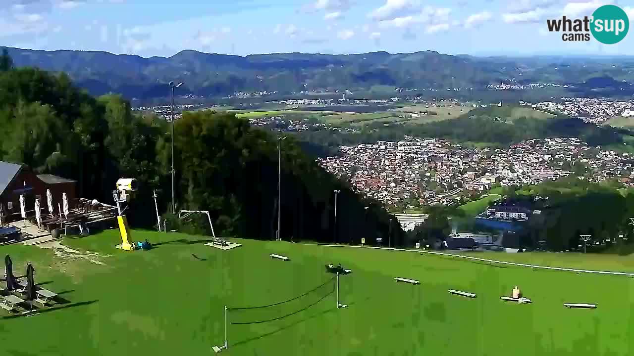 Webcam Pohorje Trikotna Jasa | Poštela
