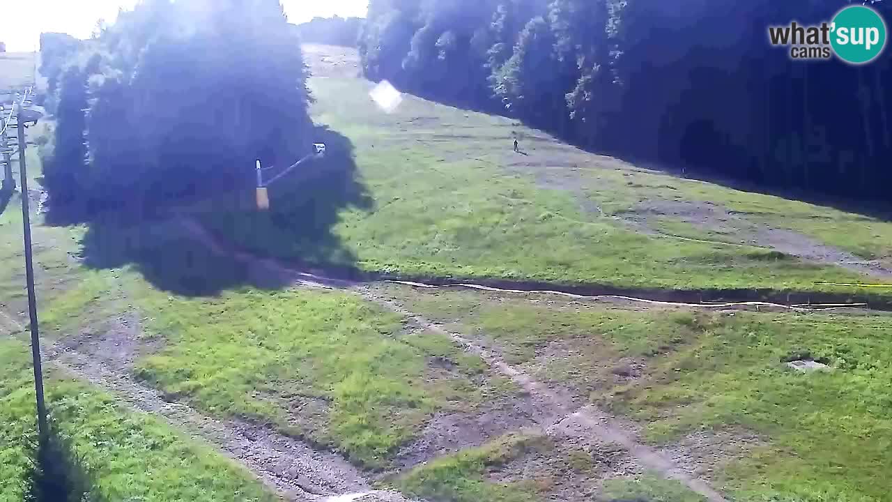 Spletna Kamera Pohorje Trikotna Jasa | Poštela