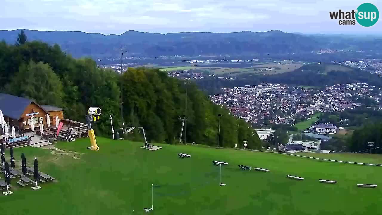 Webcam Pohorje Trikotna Jasa | Poštela