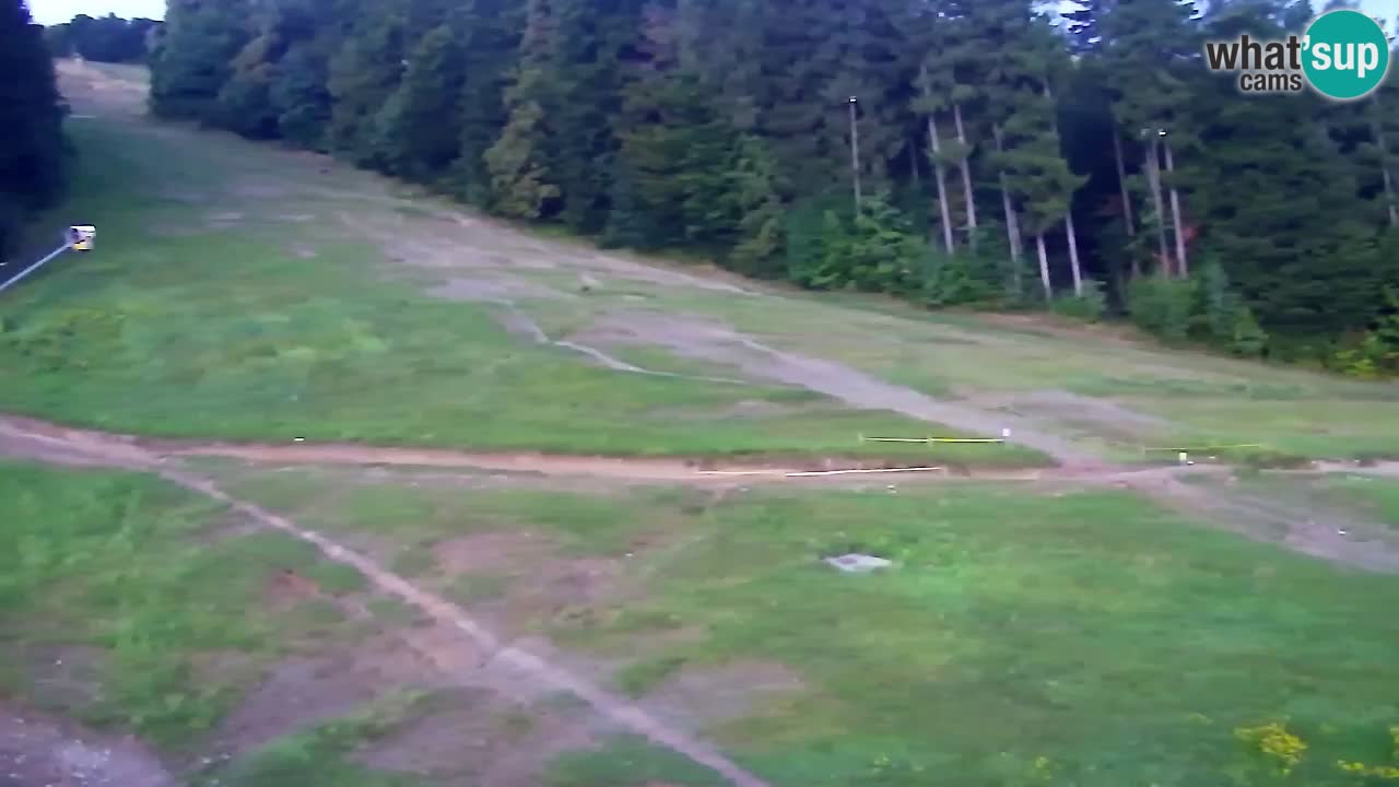 Webcam Pohorje Trikotna Jasa | Poštela