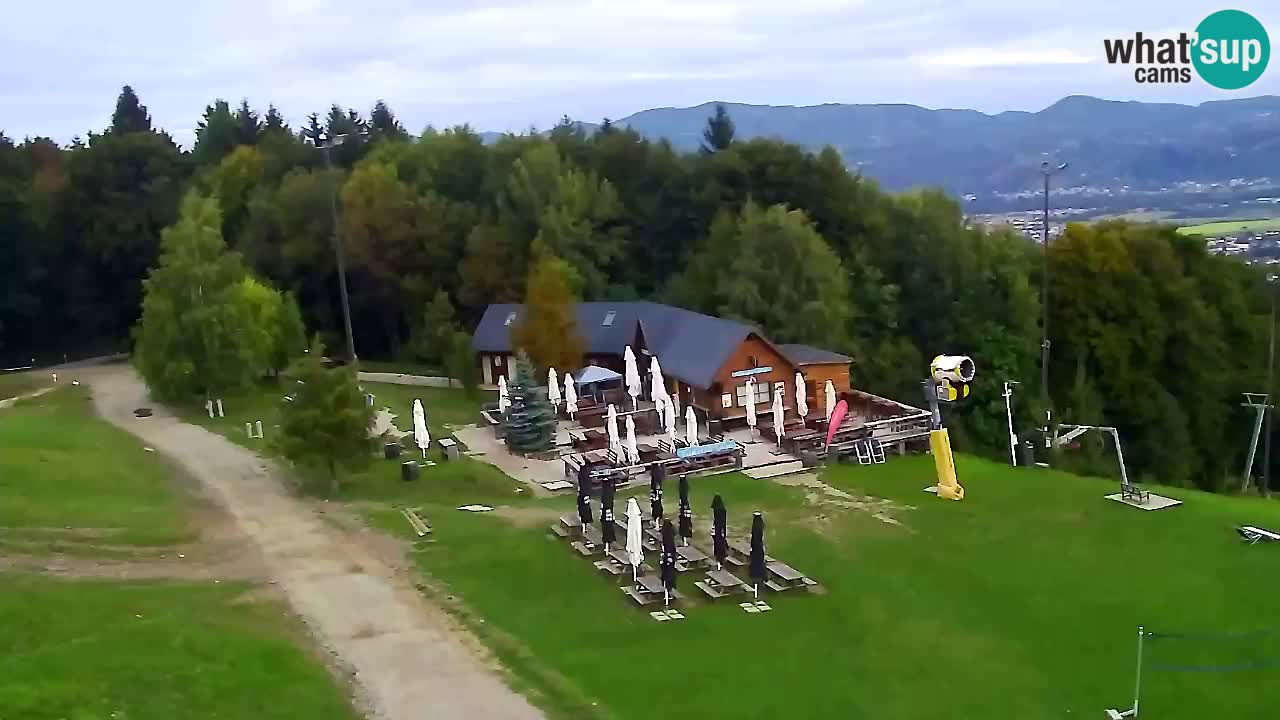 Webcam Pohorje Trikotna Jasa | Poštela