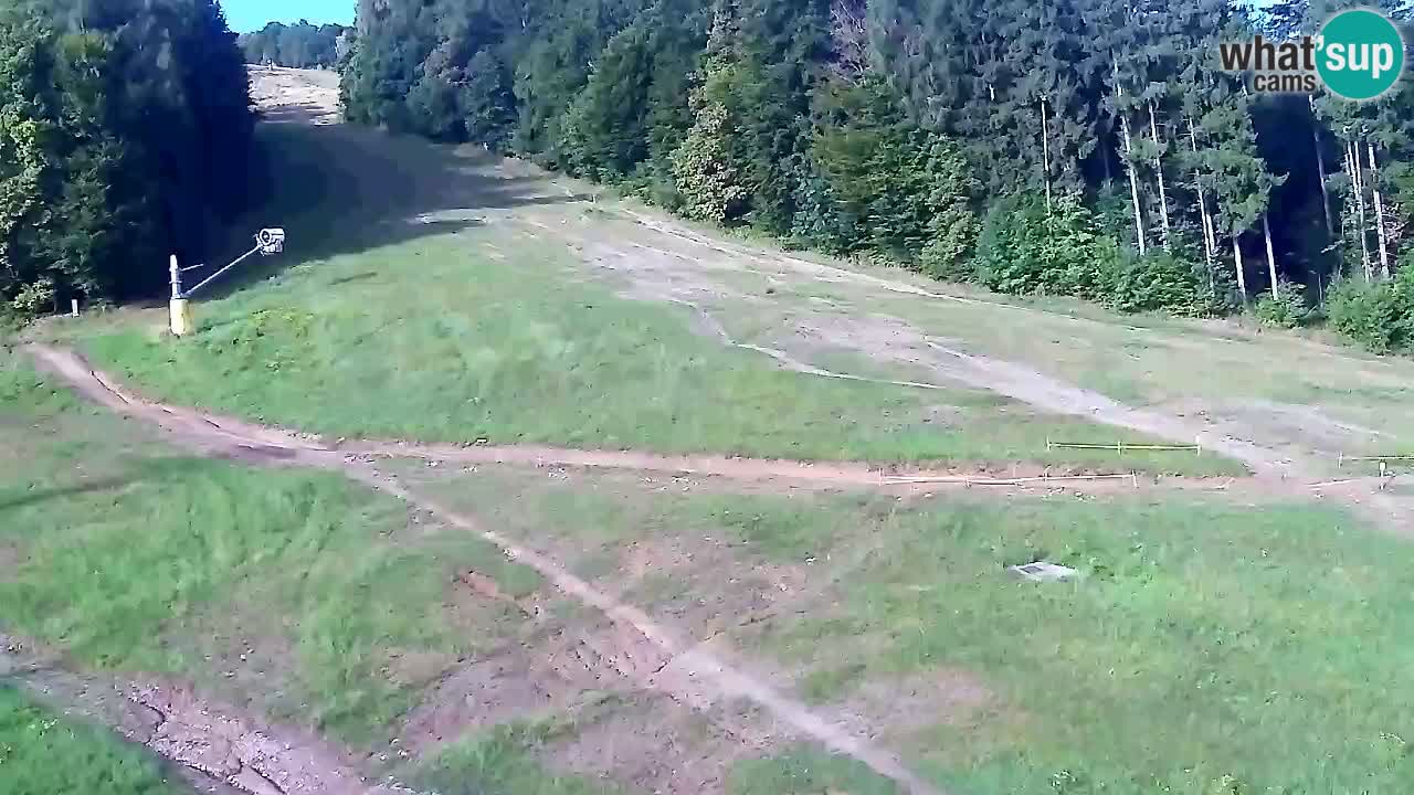 Webcam Pohorje Trikotna Jasa | Poštela