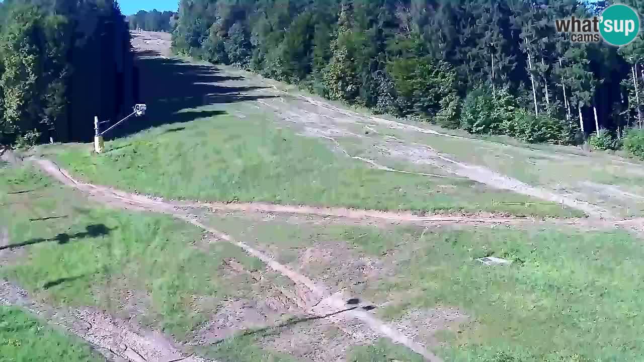 Webcam Pohorje Trikotna Jasa | Poštela