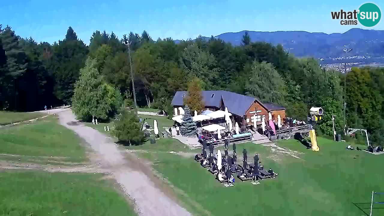 Web Camera Pohorje Trikotna Jasa | Poštela