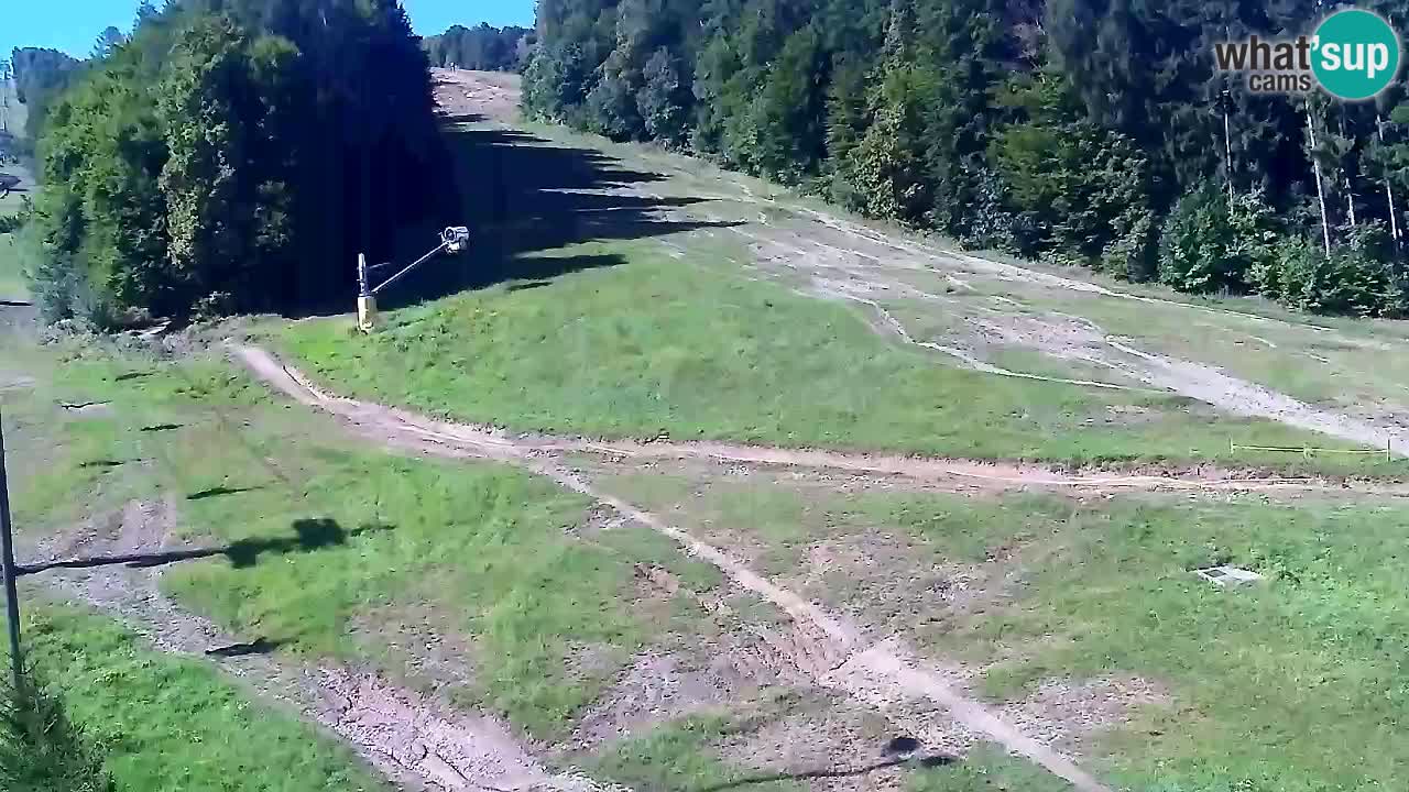Webcam Pohorje Trikotna Jasa | Poštela