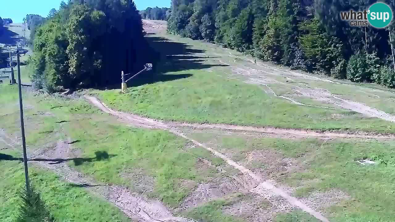 Webcam Pohorje Trikotna Jasa | Poštela