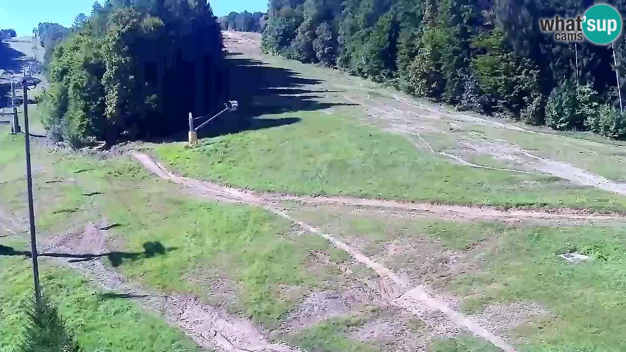 Webcam Pohorje Trikotna Jasa | Poštela