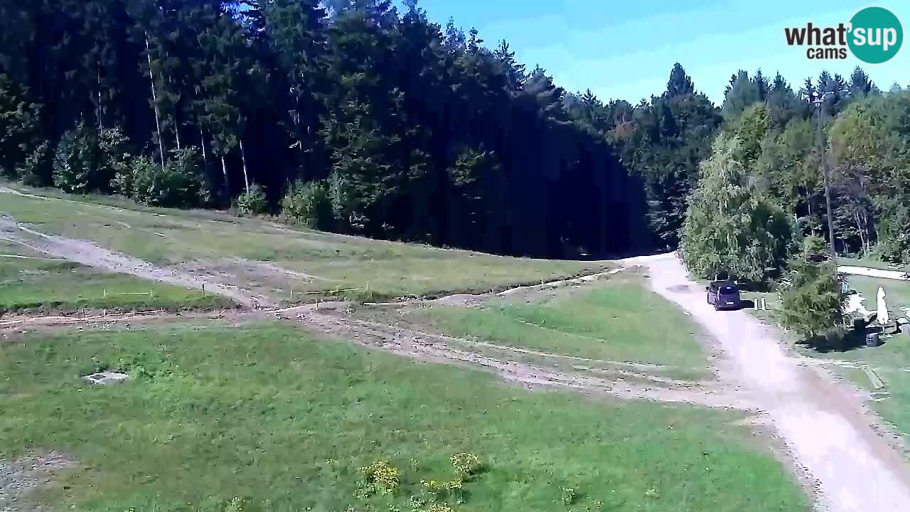 Webcam Pohorje Trikotna Jasa | Poštela