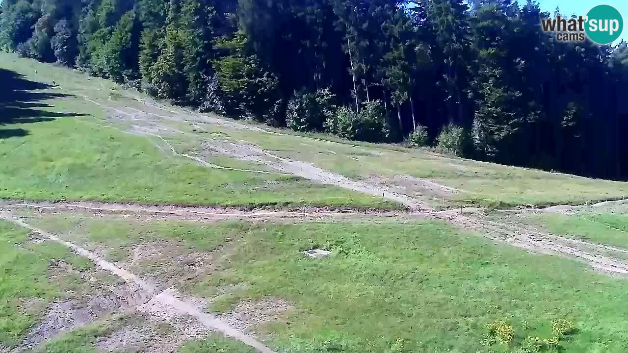 Web Camera Pohorje Trikotna Jasa | Poštela