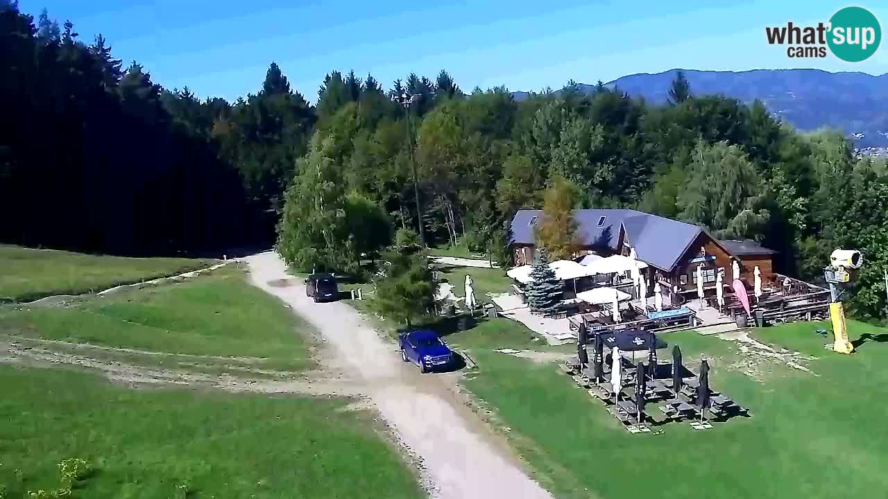 Webcam Pohorje Trikotna Jasa | Poštela