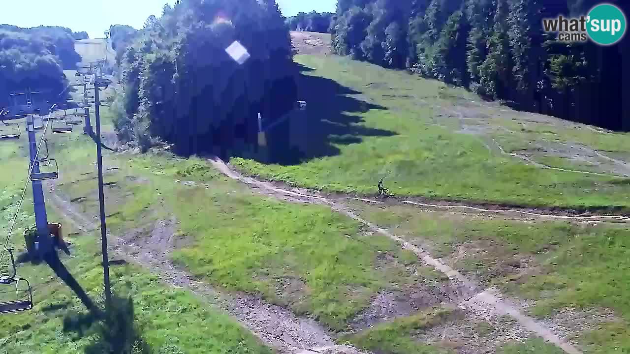 Webcam Pohorje Trikotna Jasa | Poštela