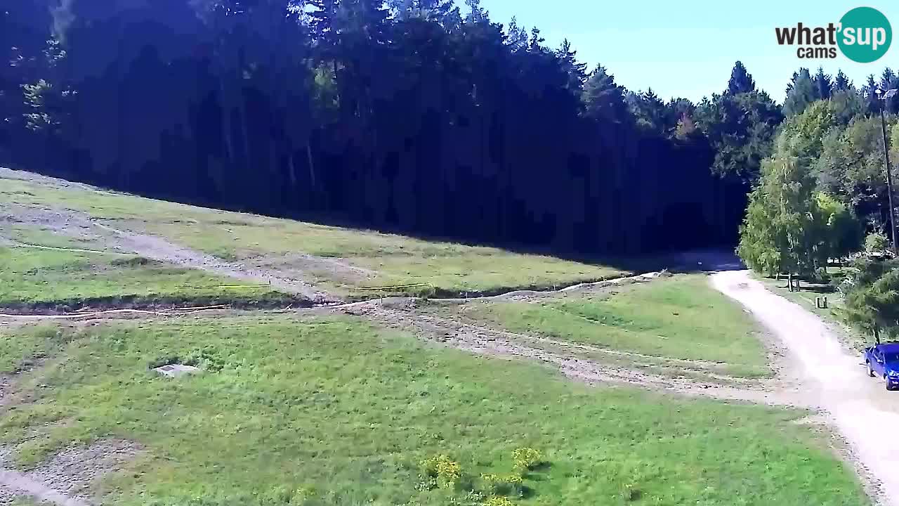 Webcam Pohorje Trikotna Jasa | Poštela