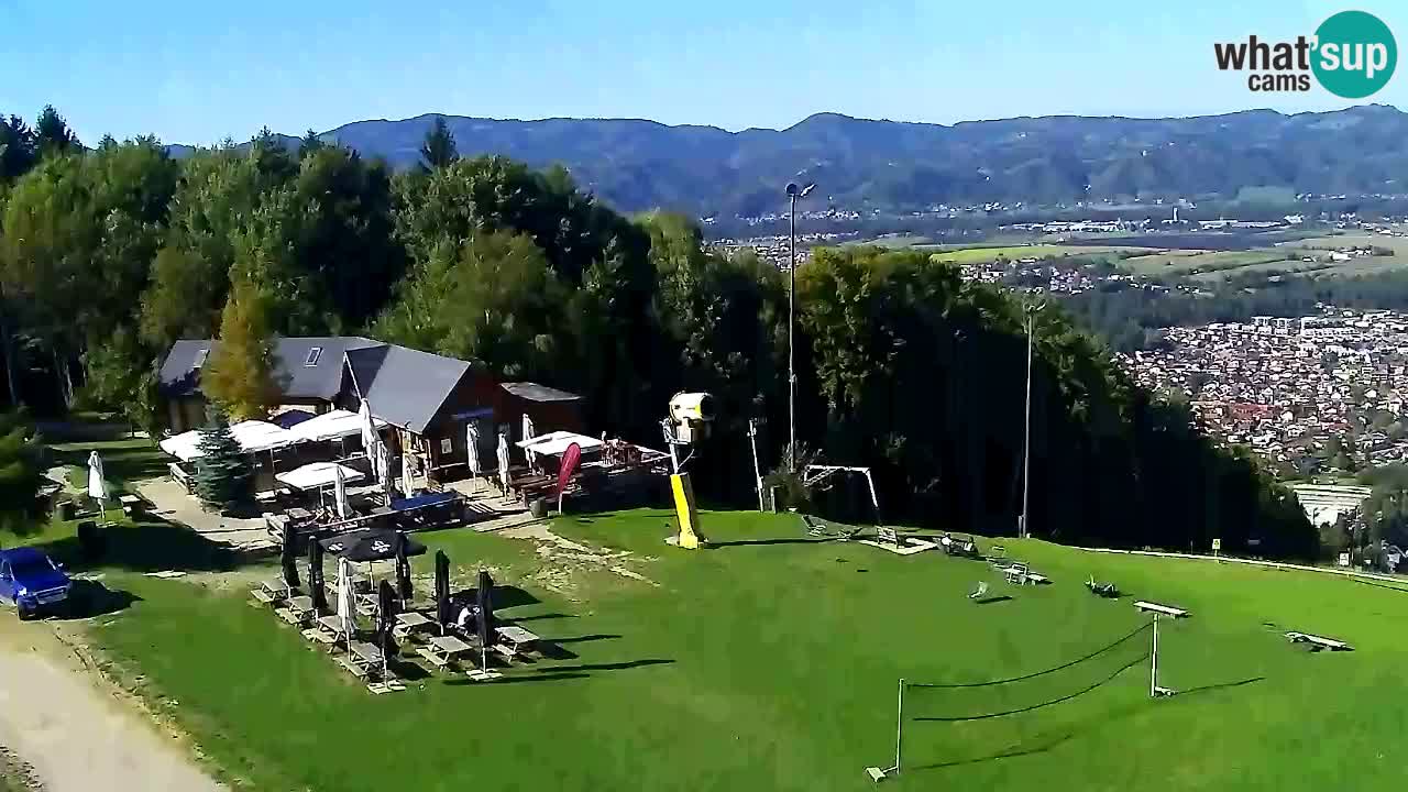 Webcam Pohorje Trikotna Jasa | Poštela