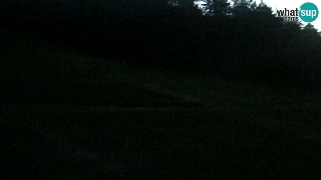 Web Camera Pohorje Trikotna Jasa | Poštela