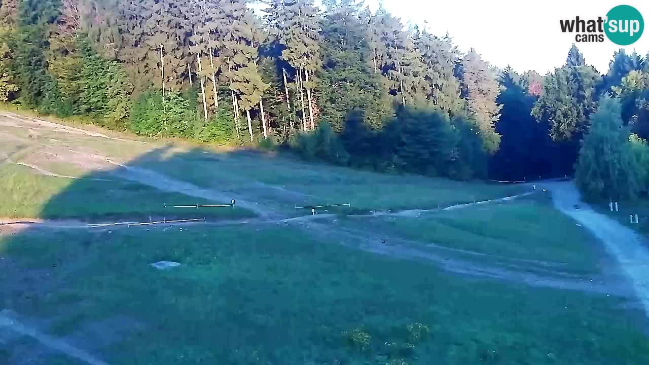 Webcam Pohorje Trikotna Jasa | Poštela