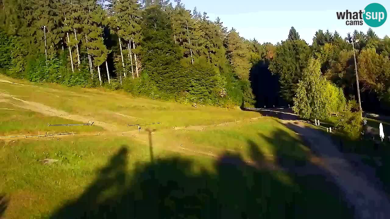 Webcam Pohorje Trikotna Jasa | Poštela