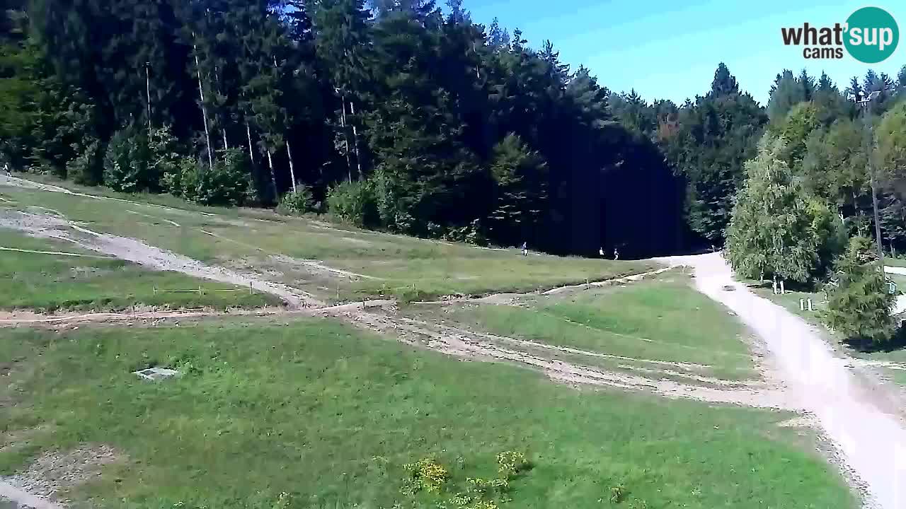 Webcam Pohorje Trikotna Jasa | Poštela