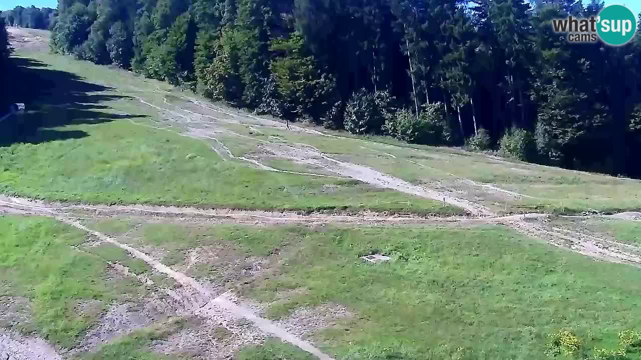 Webcam Pohorje Trikotna Jasa | Poštela