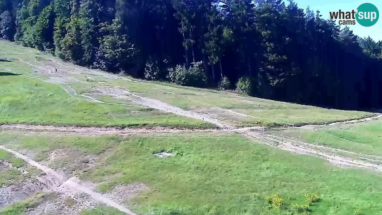 Webcam Pohorje Trikotna Jasa | Poštela
