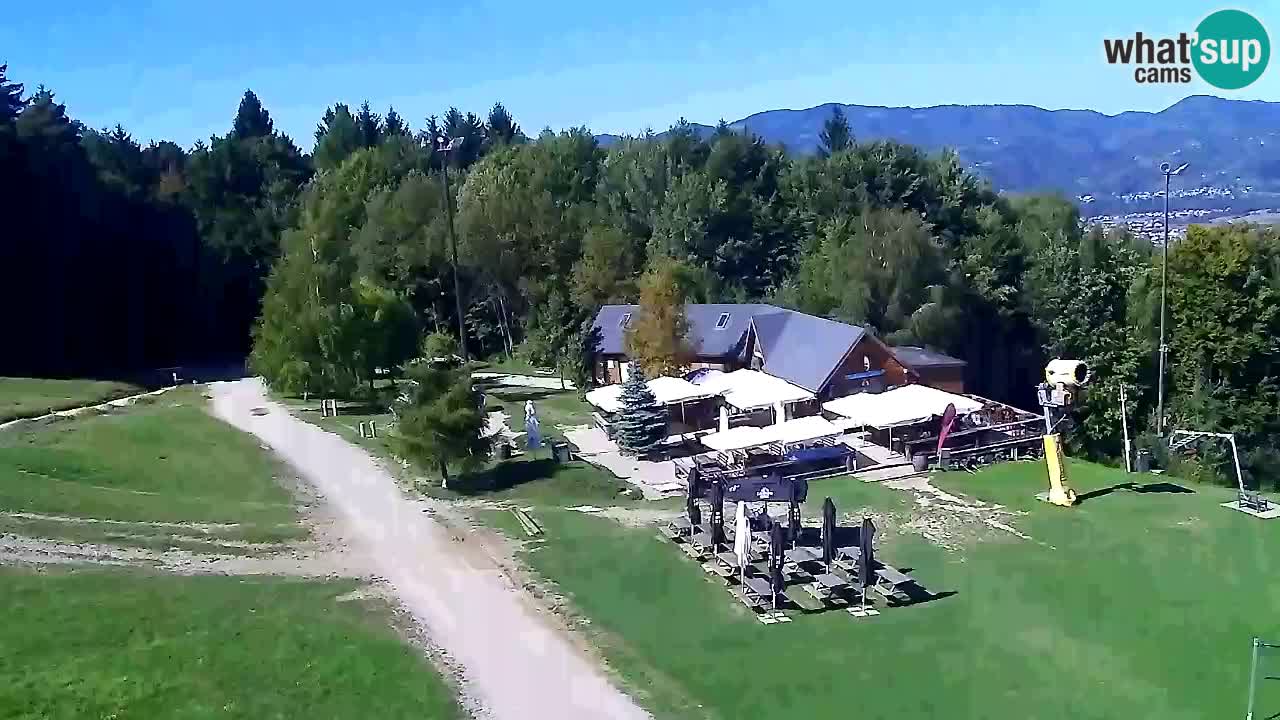 Web Camera Pohorje Trikotna Jasa | Poštela