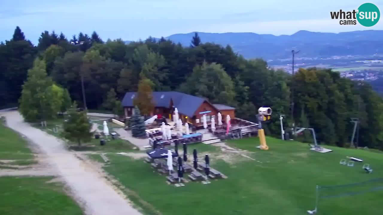 Web Camera Pohorje Trikotna Jasa | Poštela