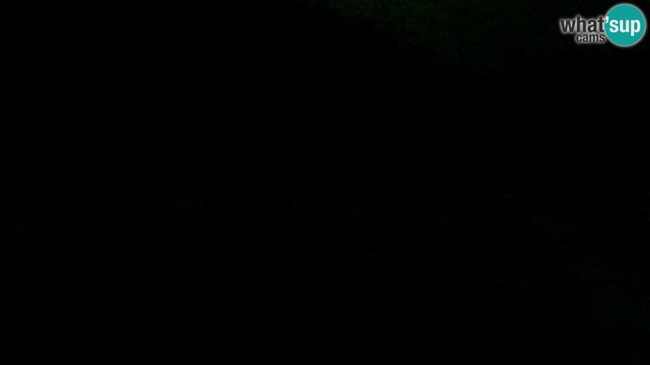 Webcam Pohorje Trikotna Jasa | Poštela