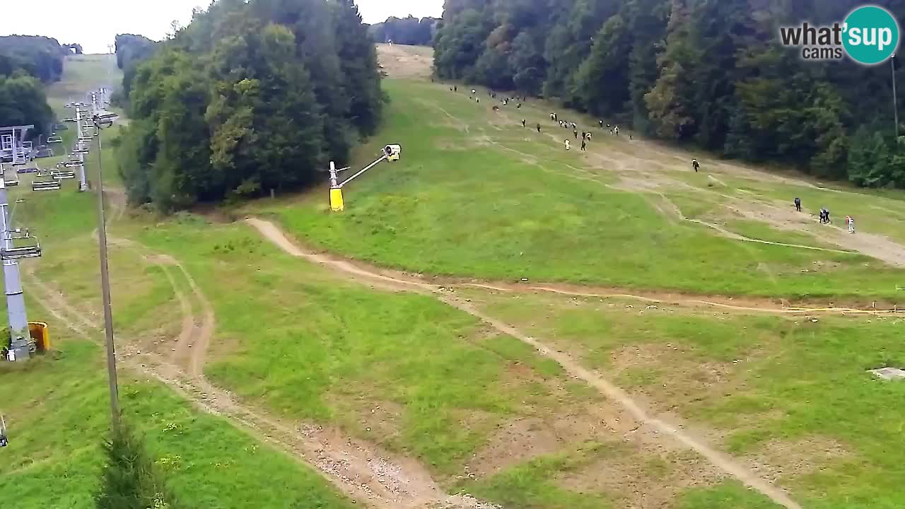 Webcam Pohorje Trikotna Jasa | Poštela