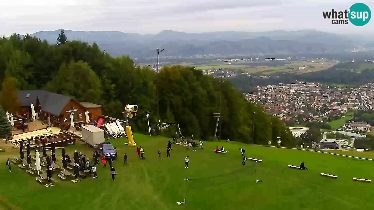 Webcam Pohorje Trikotna Jasa | Poštela