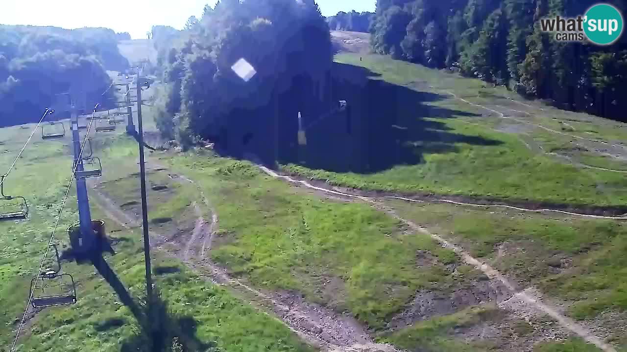 Webcam Pohorje Trikotna Jasa | Poštela
