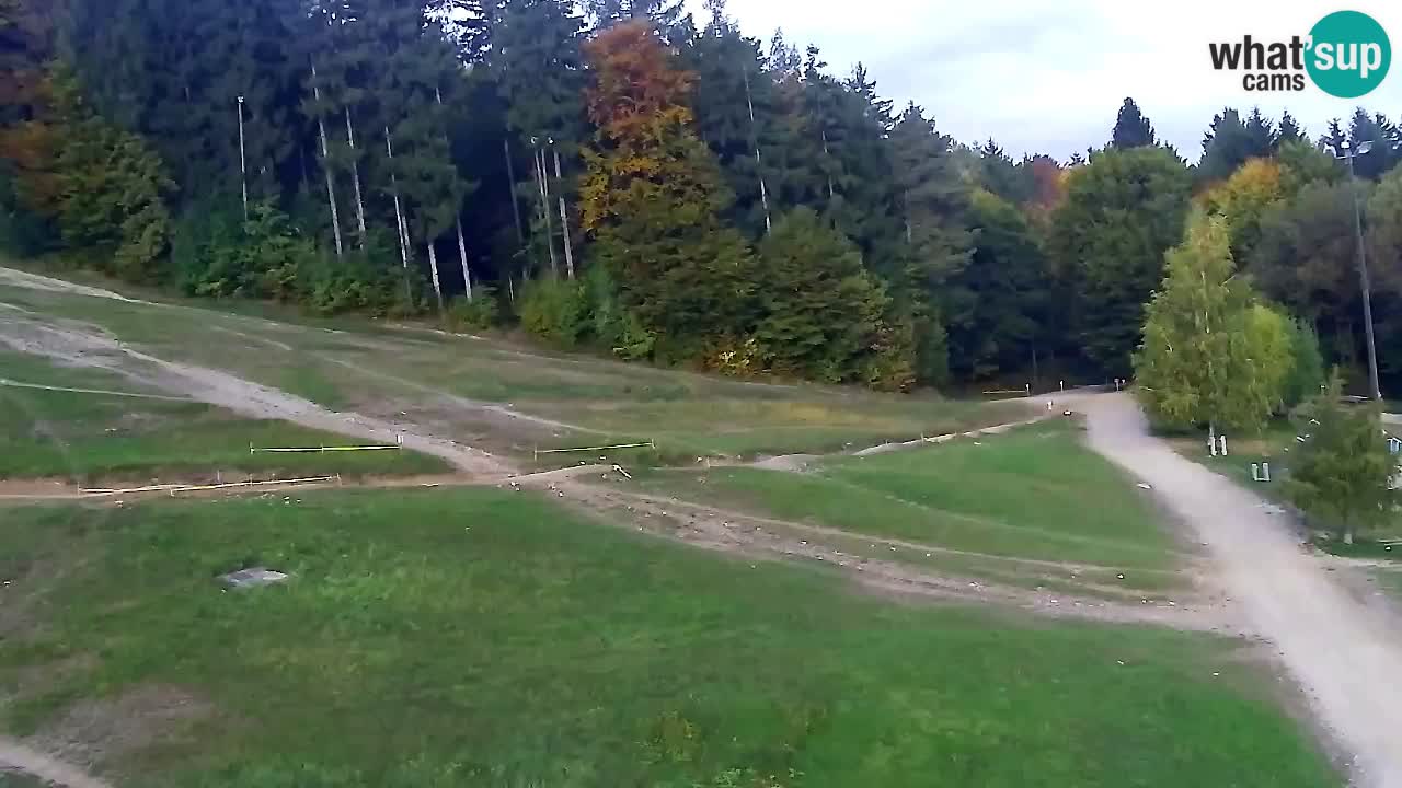 Webcam Pohorje Trikotna Jasa | Poštela