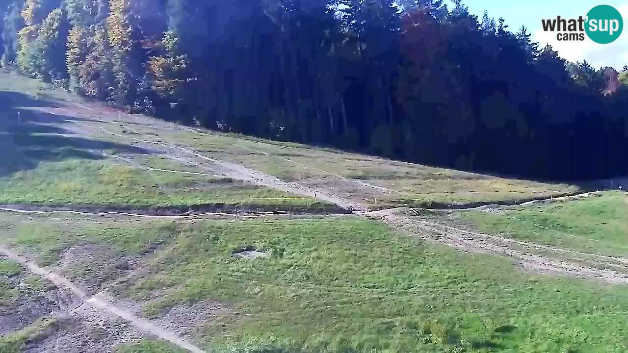 Webcam Pohorje Trikotna Jasa | Poštela