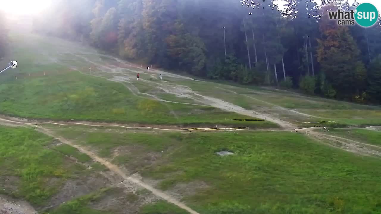 Web Camera Pohorje Trikotna Jasa | Poštela