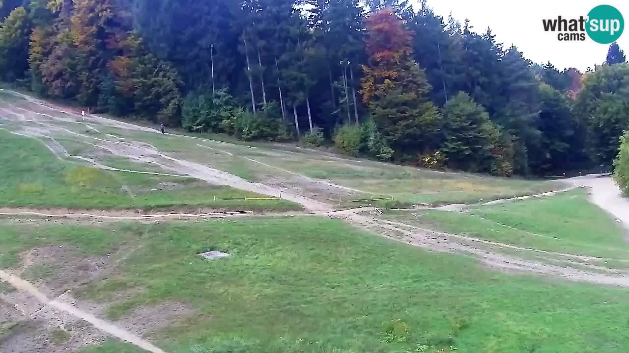 Webcam Pohorje Trikotna Jasa | Poštela